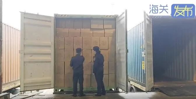巨額罰款！20噸